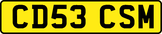 CD53CSM