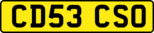 CD53CSO
