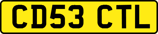 CD53CTL