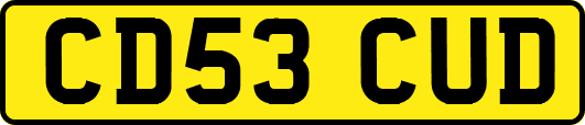 CD53CUD