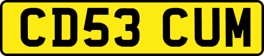 CD53CUM