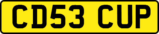 CD53CUP
