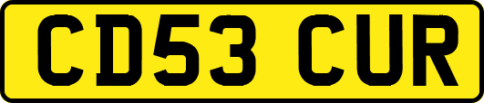 CD53CUR