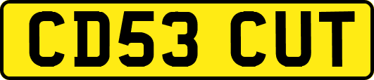 CD53CUT