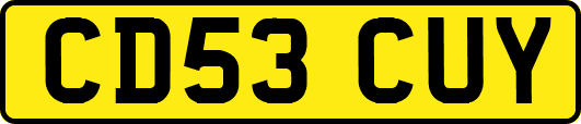 CD53CUY