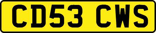 CD53CWS