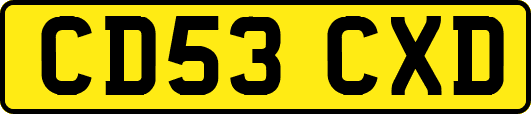 CD53CXD