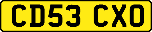 CD53CXO