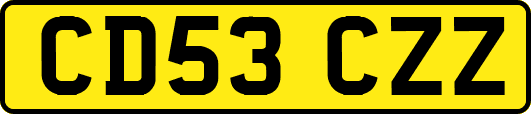 CD53CZZ
