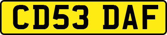 CD53DAF