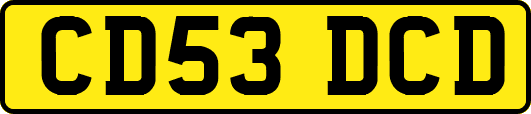 CD53DCD