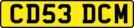 CD53DCM