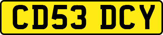CD53DCY