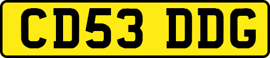 CD53DDG