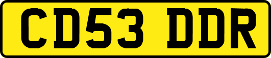 CD53DDR