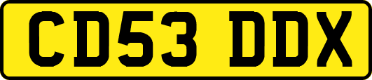 CD53DDX