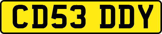 CD53DDY