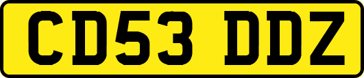 CD53DDZ
