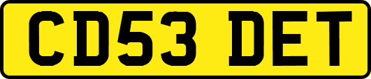 CD53DET