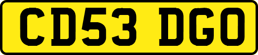 CD53DGO