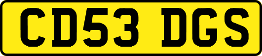 CD53DGS