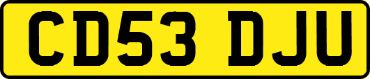 CD53DJU