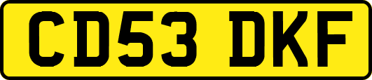 CD53DKF