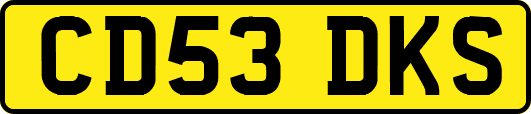 CD53DKS