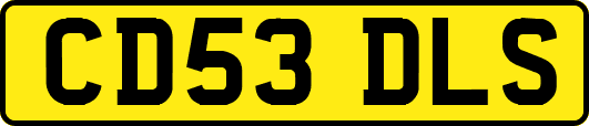 CD53DLS