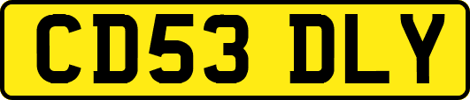 CD53DLY