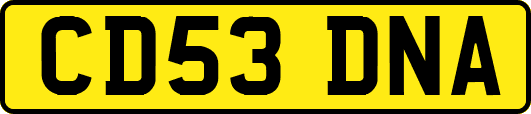 CD53DNA
