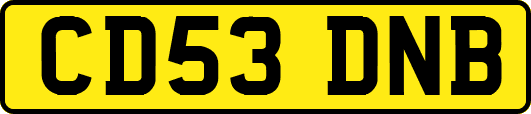 CD53DNB