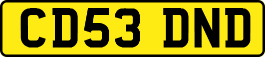 CD53DND