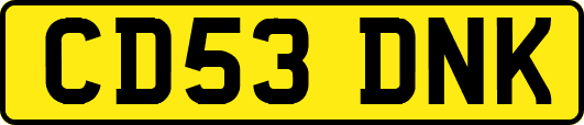 CD53DNK