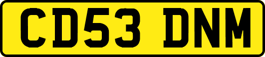 CD53DNM