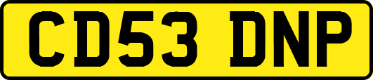 CD53DNP