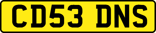 CD53DNS