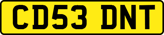 CD53DNT