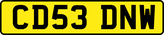 CD53DNW