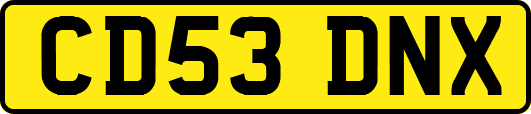 CD53DNX