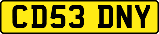 CD53DNY