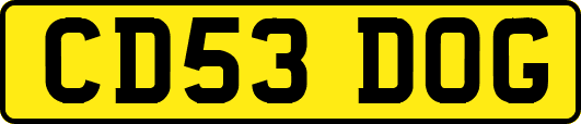 CD53DOG