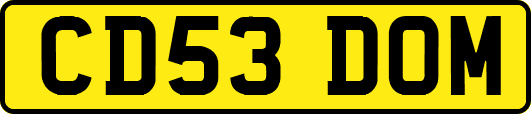 CD53DOM