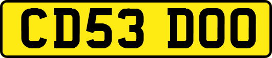 CD53DOO