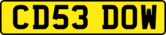 CD53DOW
