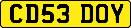 CD53DOY