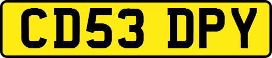 CD53DPY