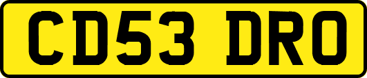 CD53DRO