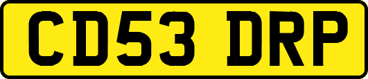 CD53DRP