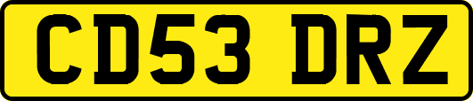 CD53DRZ
